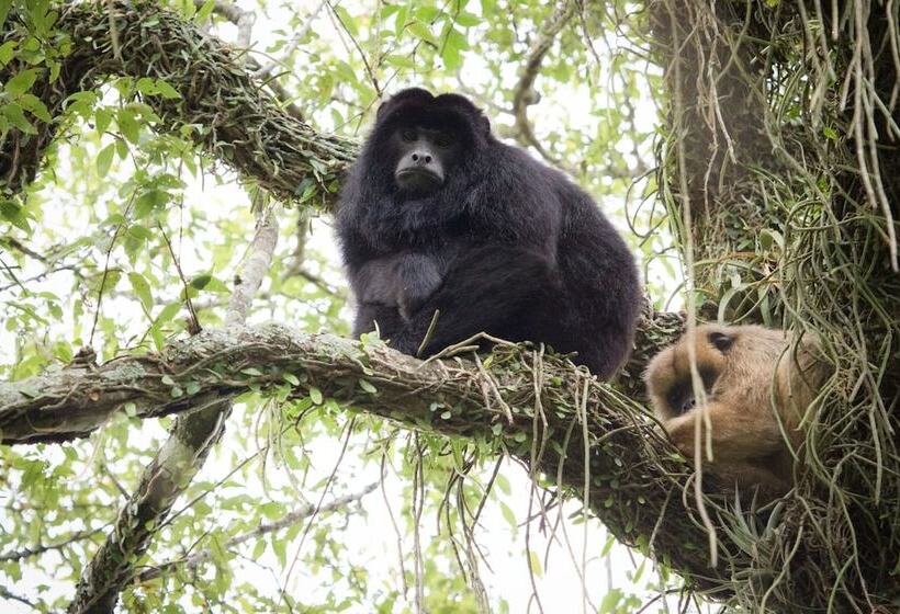 פנסיון Posada Jasy