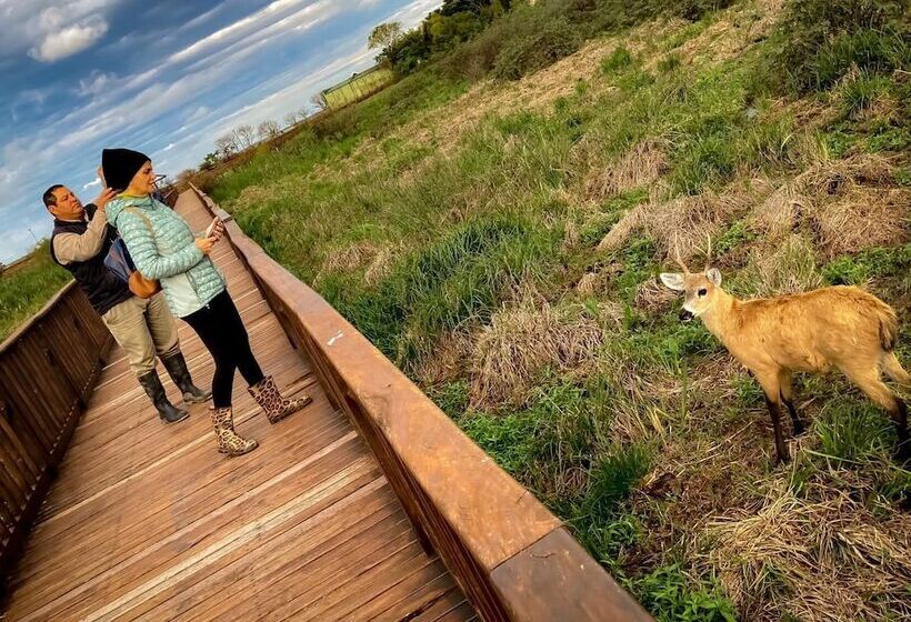 פנסיון Posada Jasy