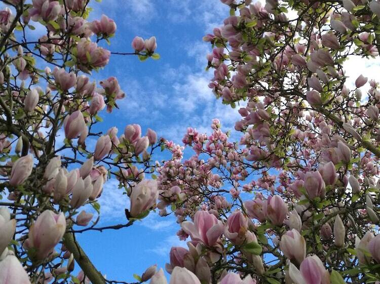 پانسیون Teresa S House