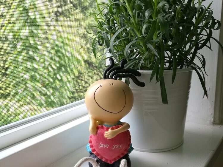 پانسیون Teresa S House