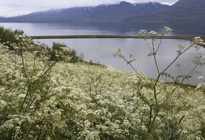 پانسیون The Viking Country Club