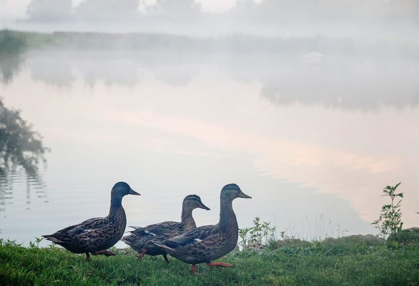 پانسیون Usadba Skornyakovo Arhangelskoye