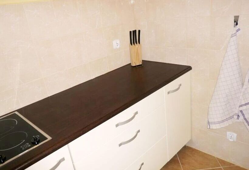 膳宿费 Villa Pati