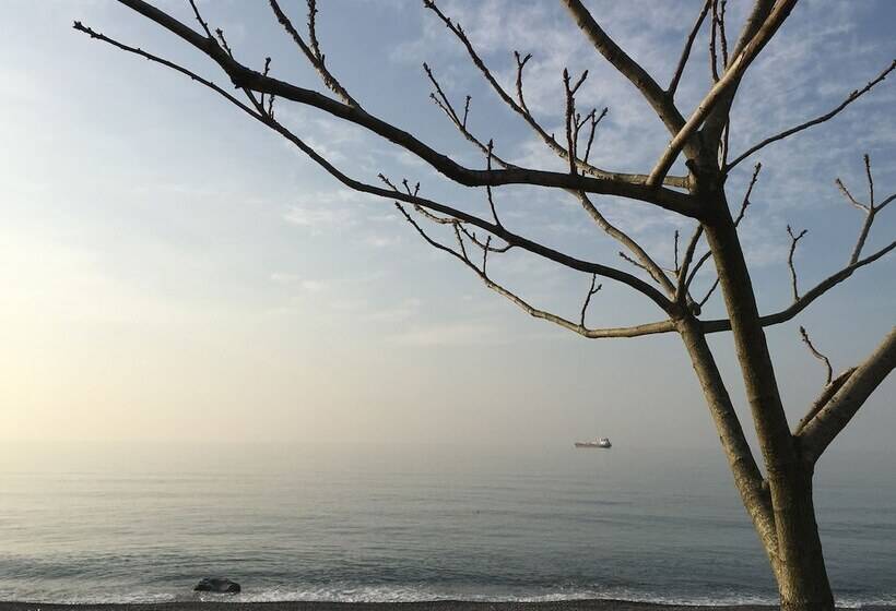 پانسیون White Guest House