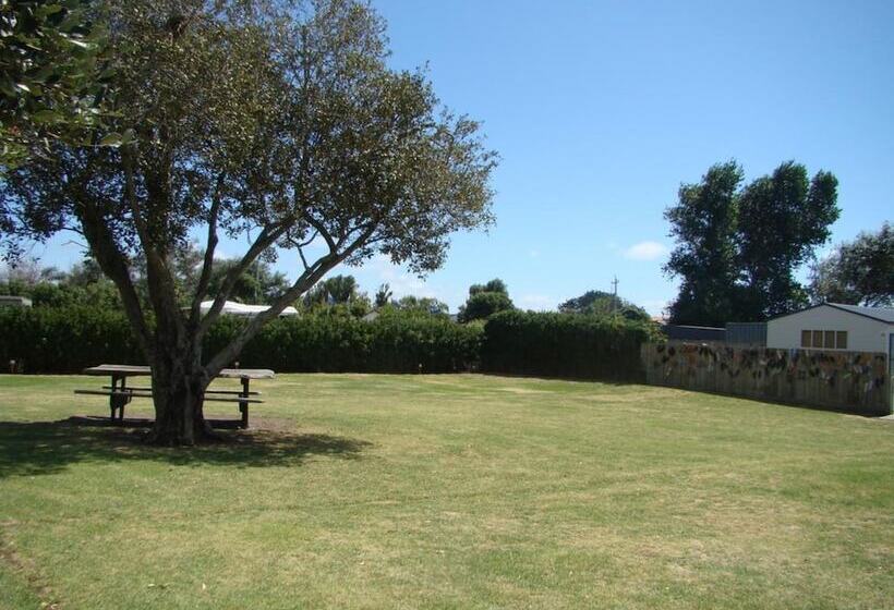 אתר נופש Port Waikato Holiday Park