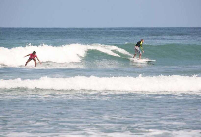 אתר נופש Port Waikato Holiday Park