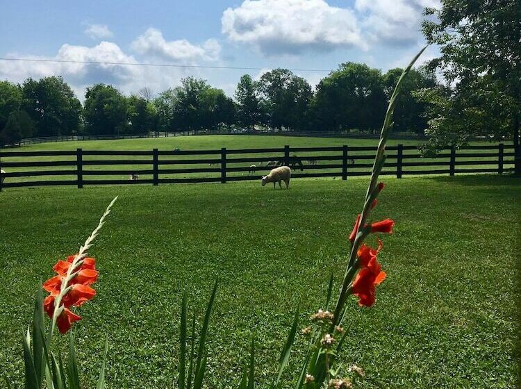 Sandy River Adventure Resort