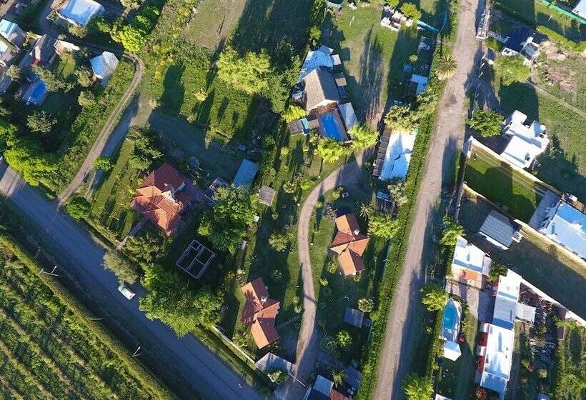 Sangiovese Club House