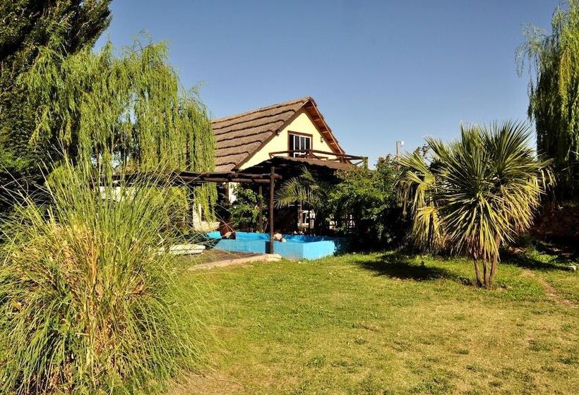 Sangiovese Club House