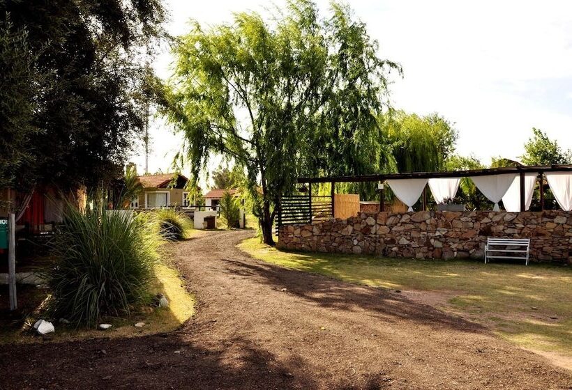 Sangiovese Club House