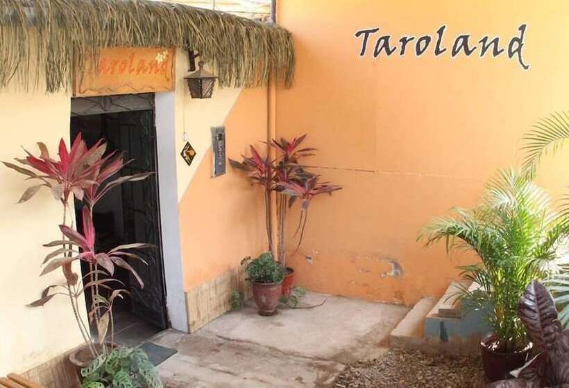 Taroland   Hostel