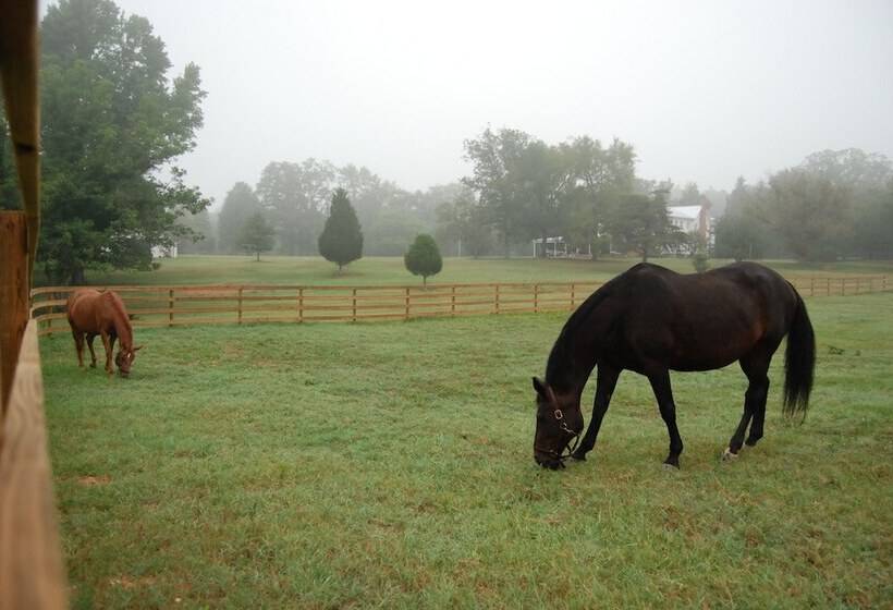 The Colonels B&b And Inn