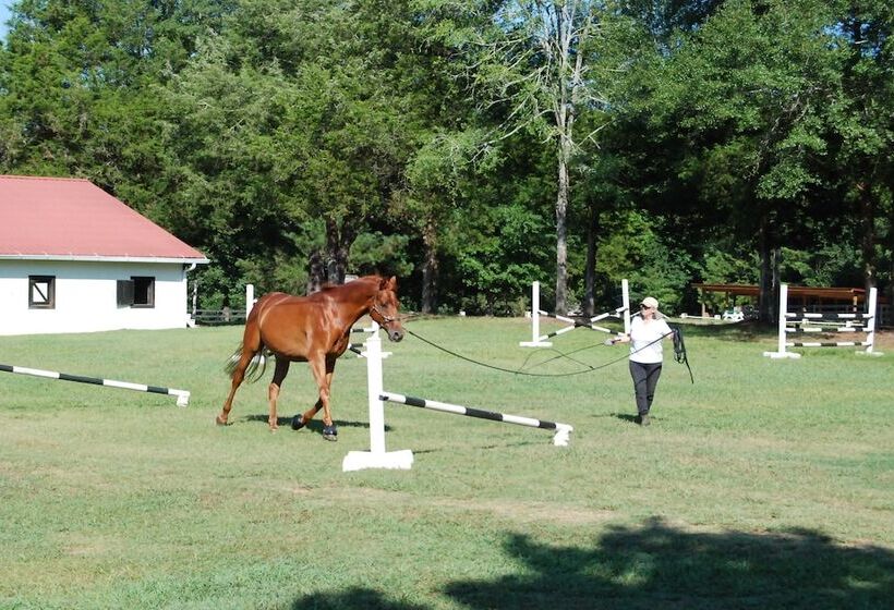 The Colonels B&b And Inn