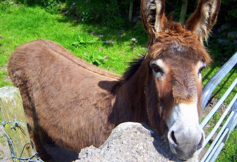 Valleylodge Farm Hostel