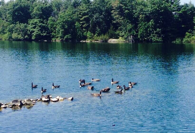 Watermark Waterfront Cottages
