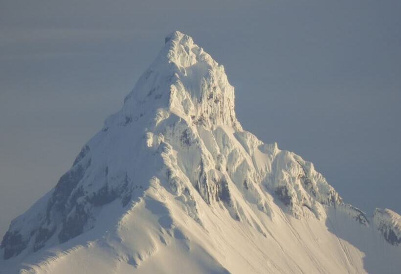 Yurt In Puyehue With Volcano Views