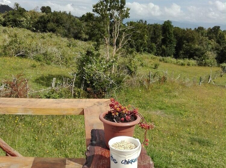 Yurt In Puyehue With Volcano Views
