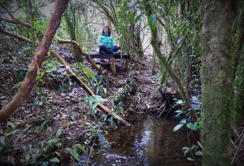 Yurt In Puyehue With Volcano Views