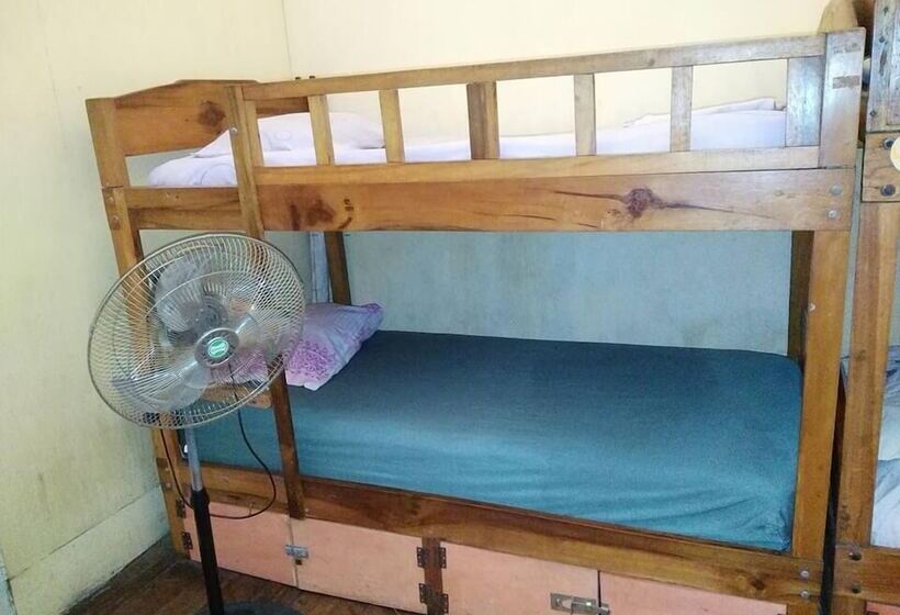 Amazon Mad Mick S Bunk House Adults Only Hostel