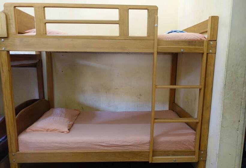 Amazon Mad Mick S Bunk House Adults Only Hostel