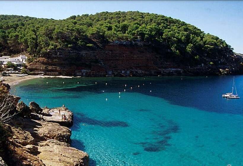 Amistat Island Hostel Ibiza   Albergue Juvenil