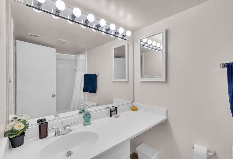 Arlington Fully Furnished Apartments