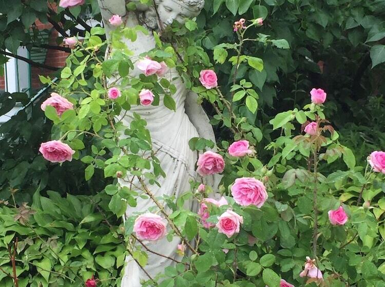 住宿加早餐 Annie Wiggins Guest House