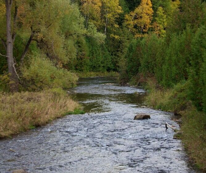 צימר Forks Of The Credit Inn