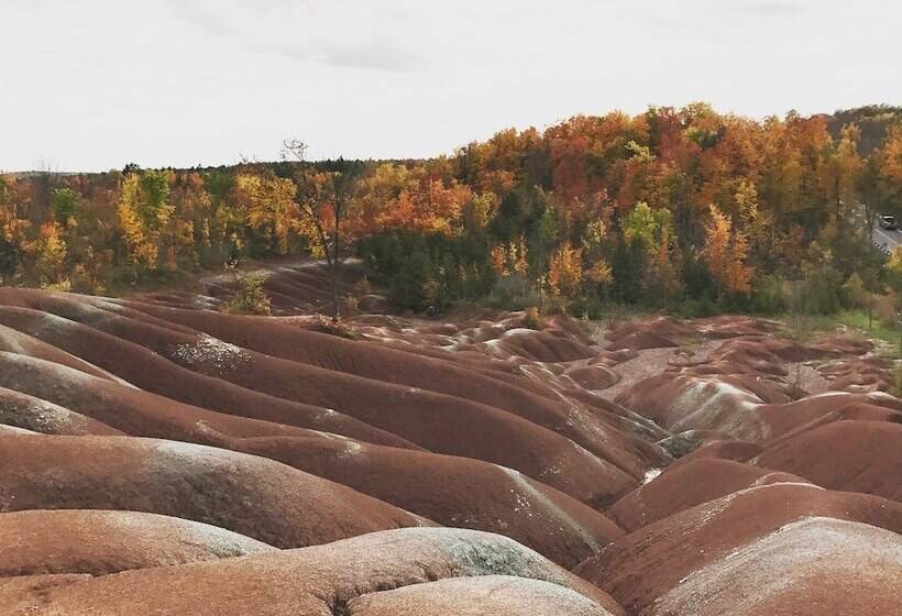 צימר Forks Of The Credit Inn