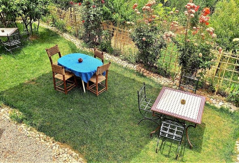 Bed & Breakfast Maison D Hote Argana