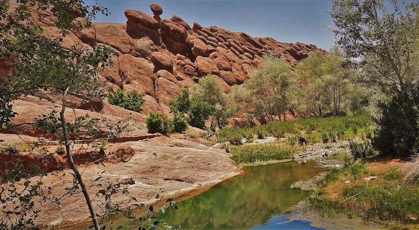 Bed & Breakfast Maison D Hote Argana