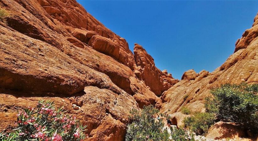 تختخواب و صبحانه Maison D Hote Argana