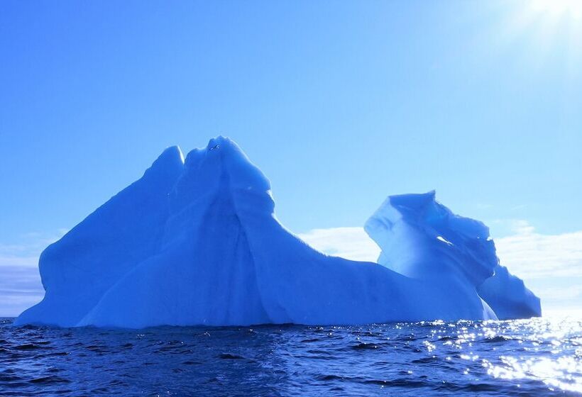 ベッドアンドブレックファースト White On Wood