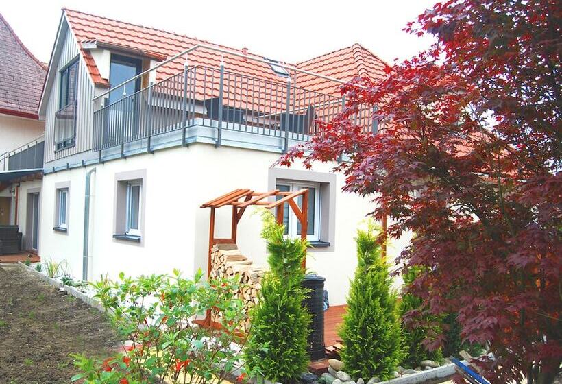 Bed & Breakfast Comfort House Olten Lostorf