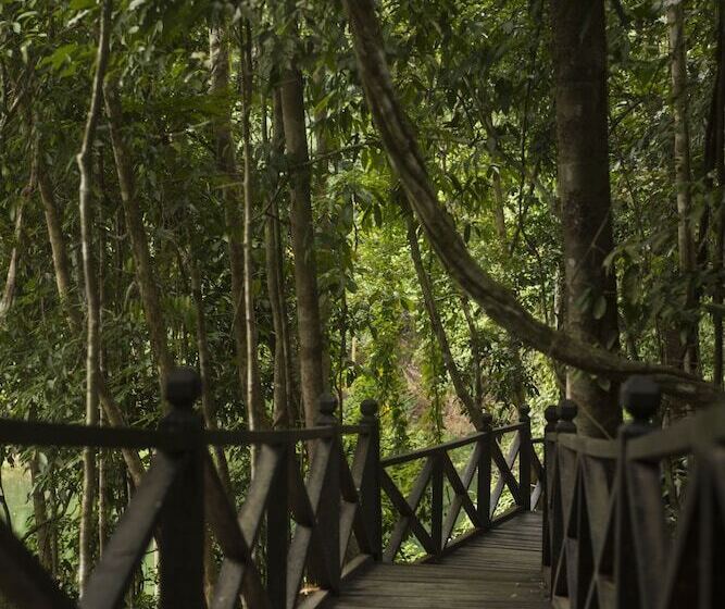 Belum Adventure Camp   Hostel