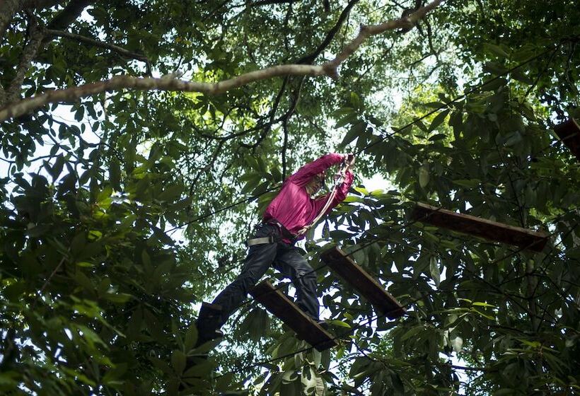 Belum Adventure Camp   Hostel