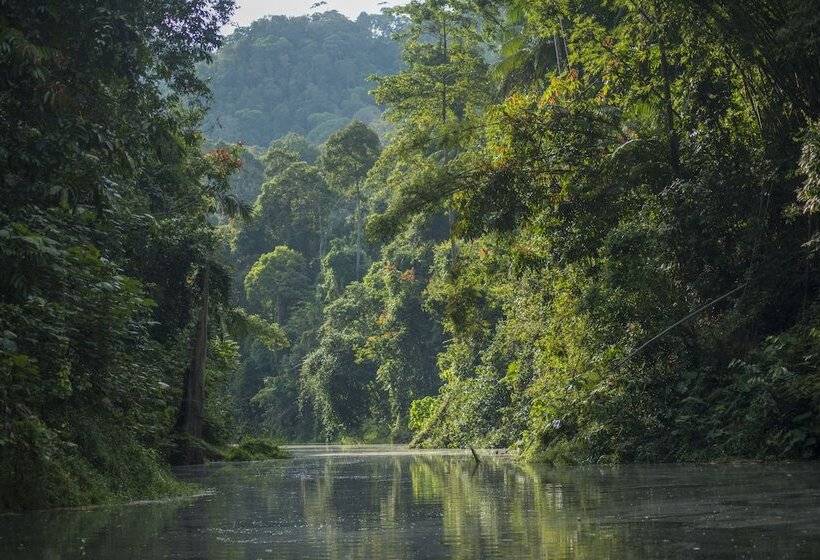 Belum Adventure Camp   Hostel