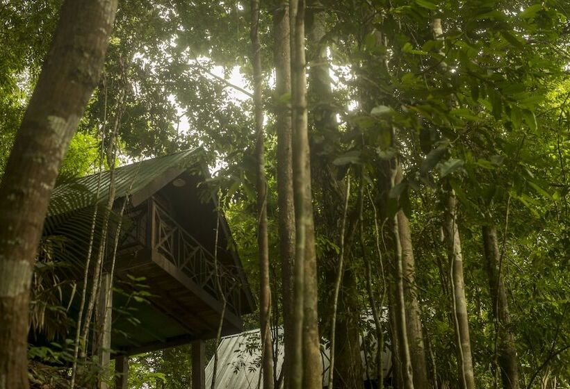 Belum Adventure Camp   Hostel