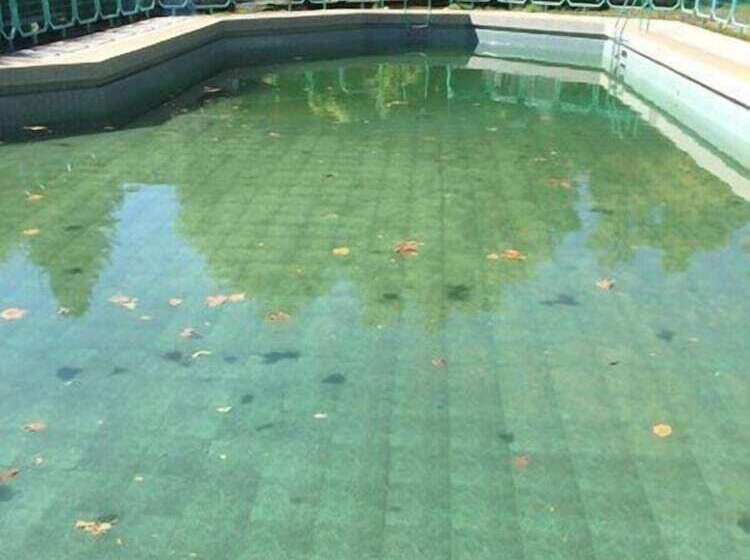 Bosque Los Lleuques Cabaña & Spa