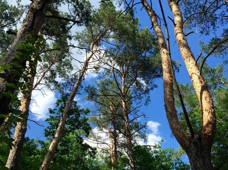 Boutique Hotel Otradnoe