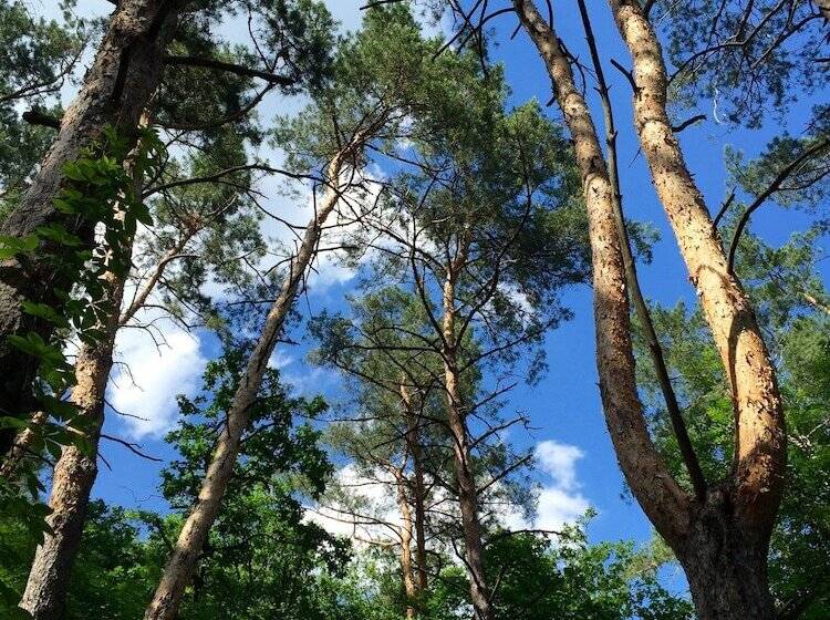 Boutique Hotel Otradnoe