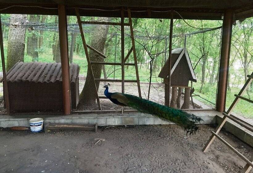 Boutique Hotel Otradnoe