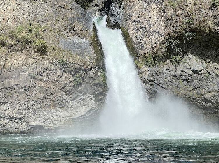 Cabañas Pewma Futrono