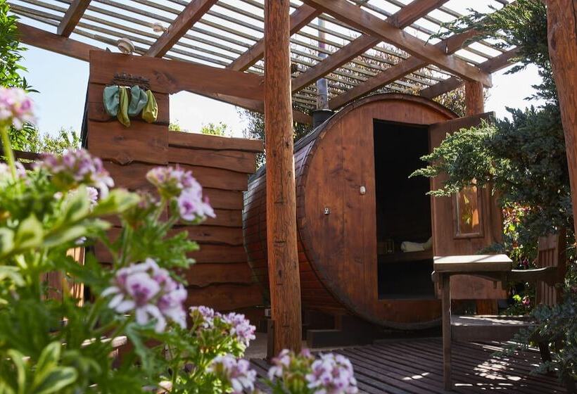 Cabañas Pewma Futrono