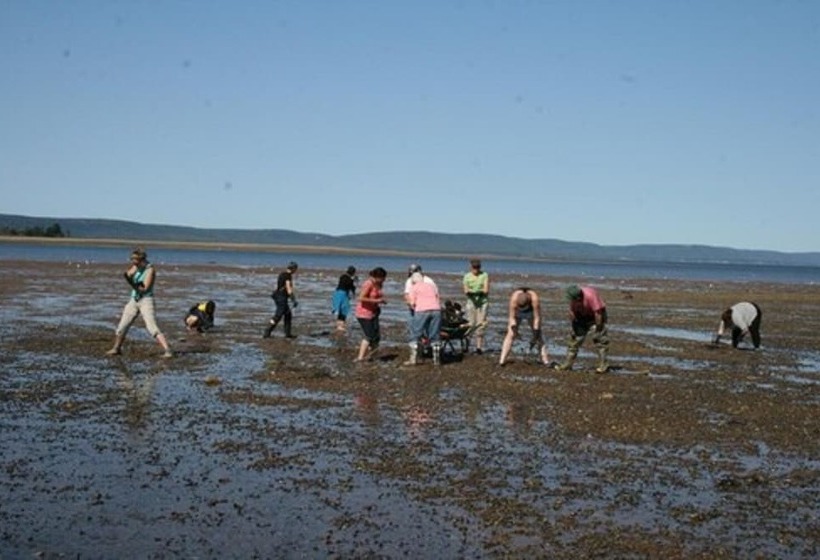 Gullivers Cove Oceanview Cottages