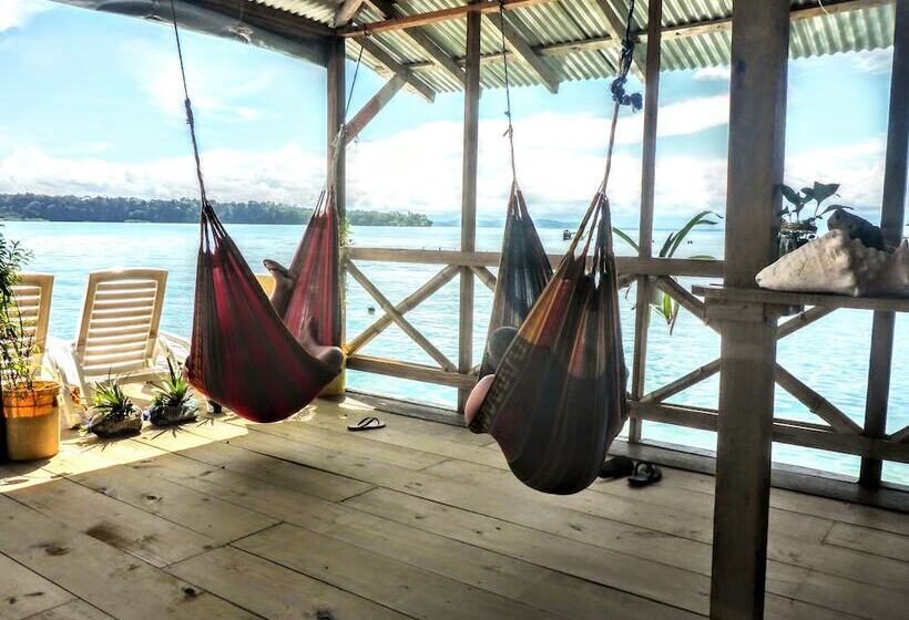 فندق فئة نجمة واحدة El Jaguar