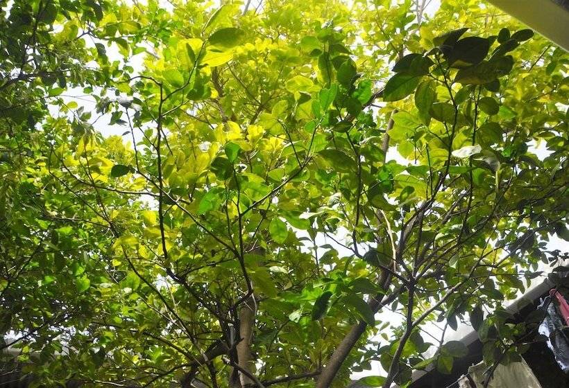 Hostal Los Chamos   Hostel