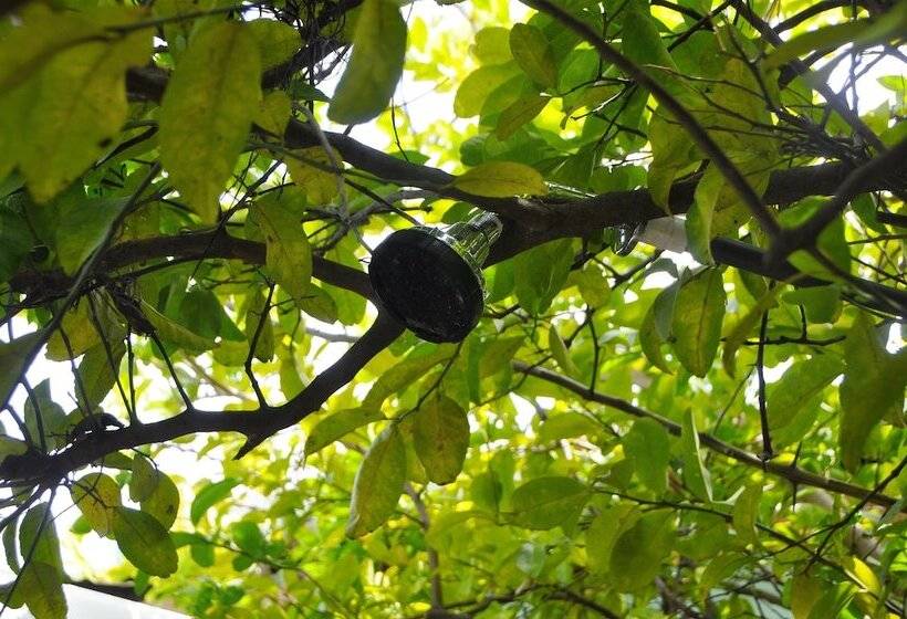 Hostal Los Chamos   Hostel