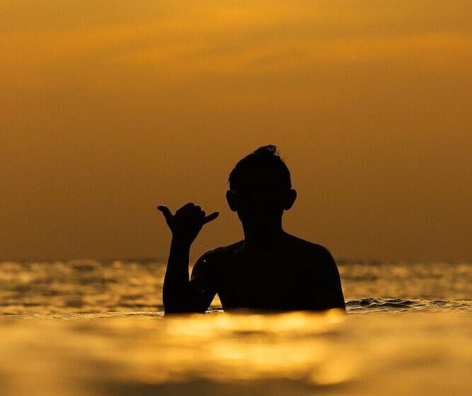 Hostal Los Chamos   Hostel