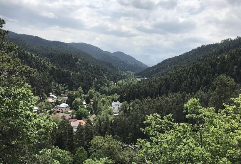 هتل Abastumani Residence